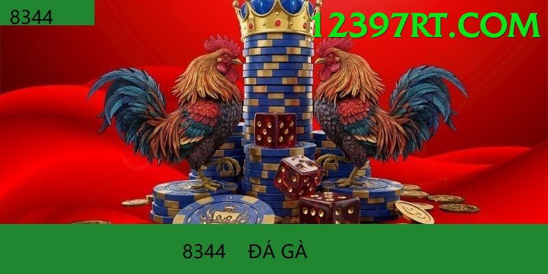 Đá Gà Trực Tiếp - Trải nghiệm tuyệt vời